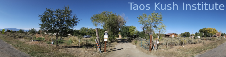 Taos Kush Institute